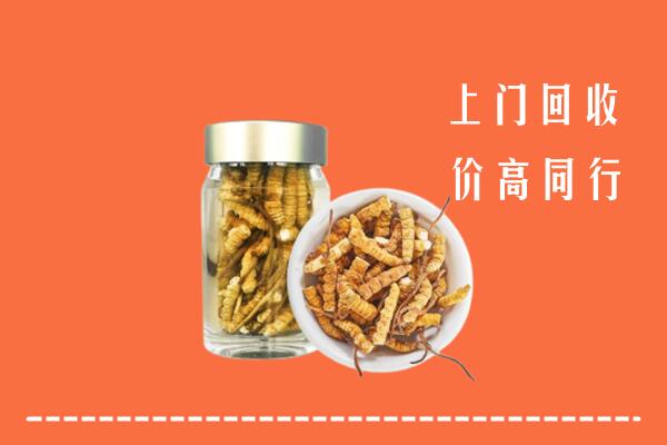 泸西县回收冬虫夏草