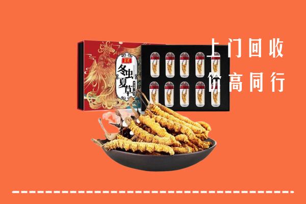 泸西县回收虫草